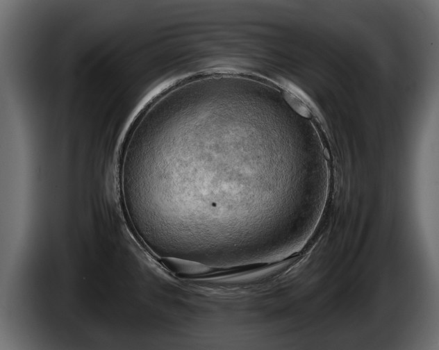 X0000085741384200703231100