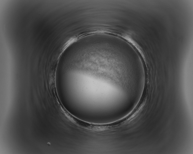 X0000085741385200703231100