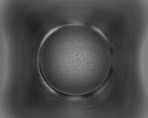 X0000085741387200703231100