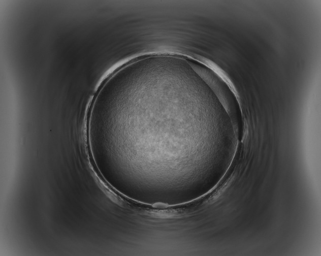 X0000085741388200703231100