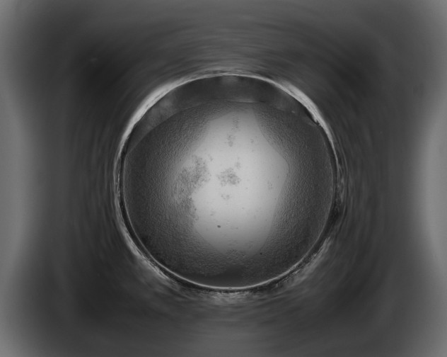 X0000085741389200703231100