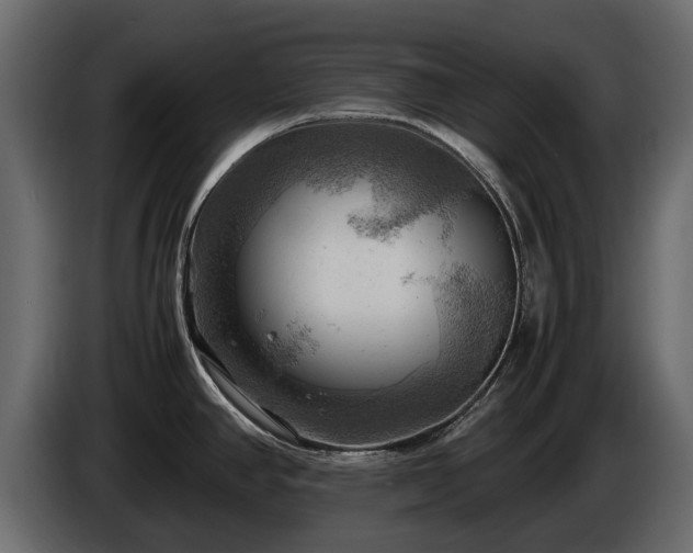 X0000085741390200703231100
