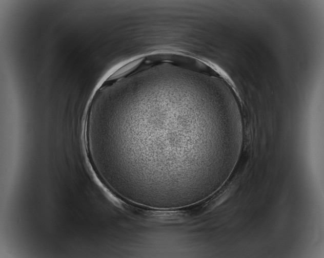 X0000085741391200703231100