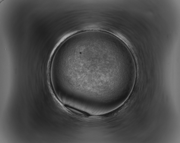 X0000085741392200703231100