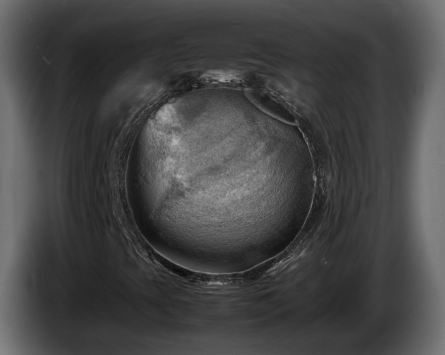 X0000085741393200703231100