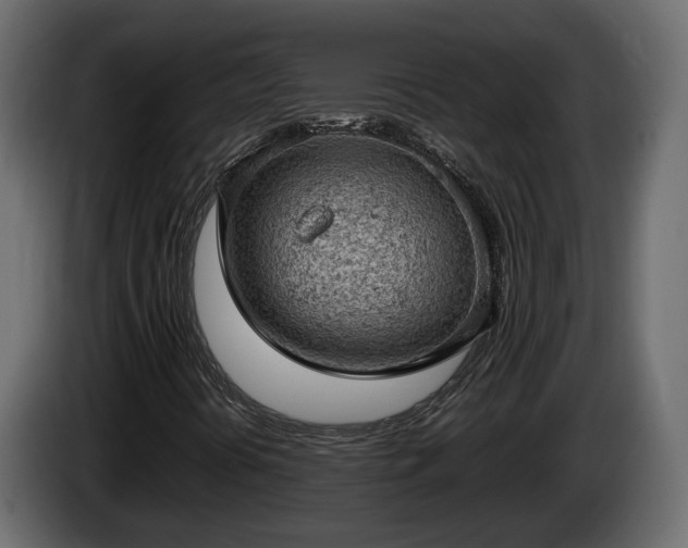 X0000085741394200703231100