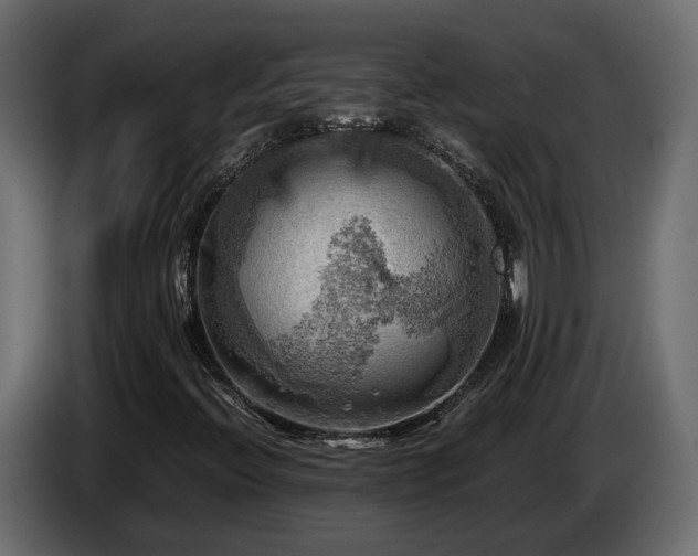 X0000085741396200703231100