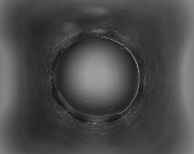 X0000085741397200703231100