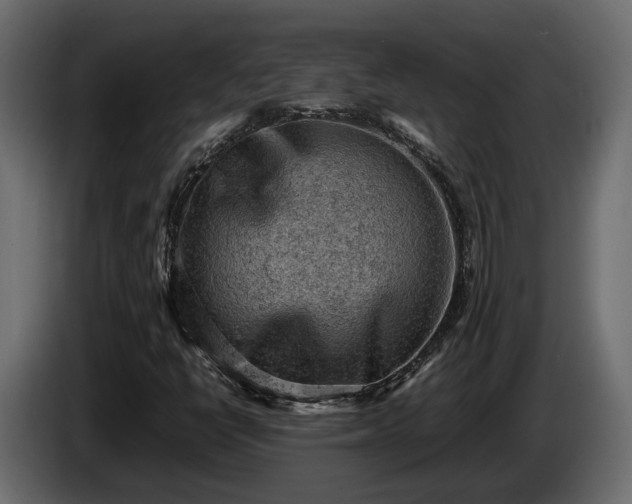 X0000085741398200703231100
