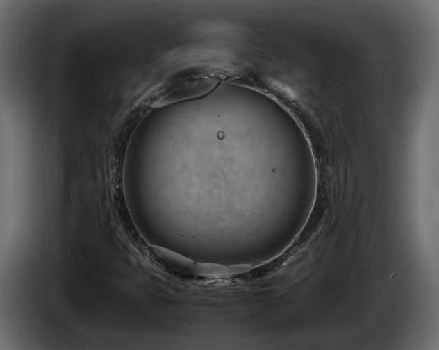 X0000085741399200703231100