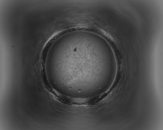 X0000085741400200703231100