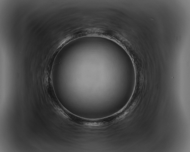 X0000085741401200703231100
