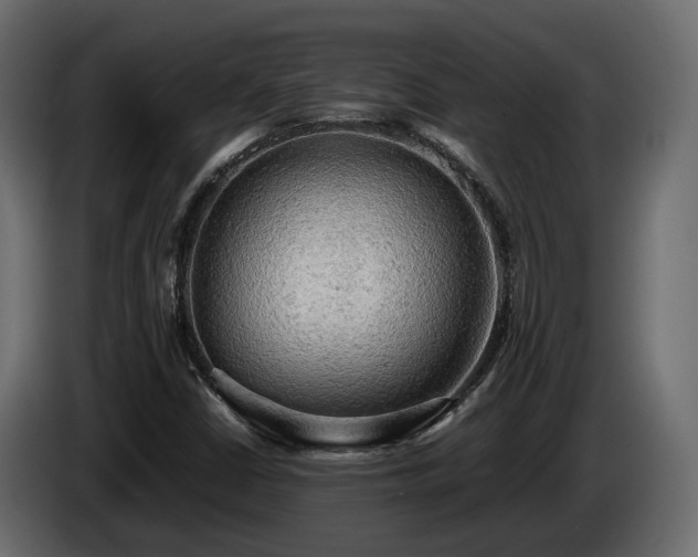 X0000085741402200703231100