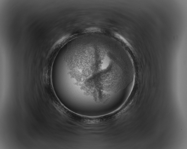 X0000085741403200703231100