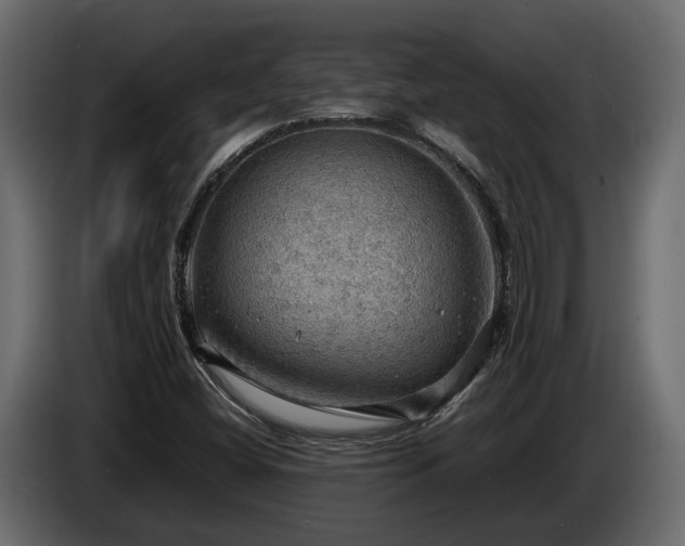 X0000085741404200703231100