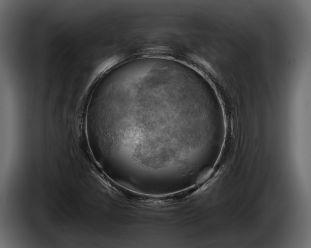 X0000085741405200703231100