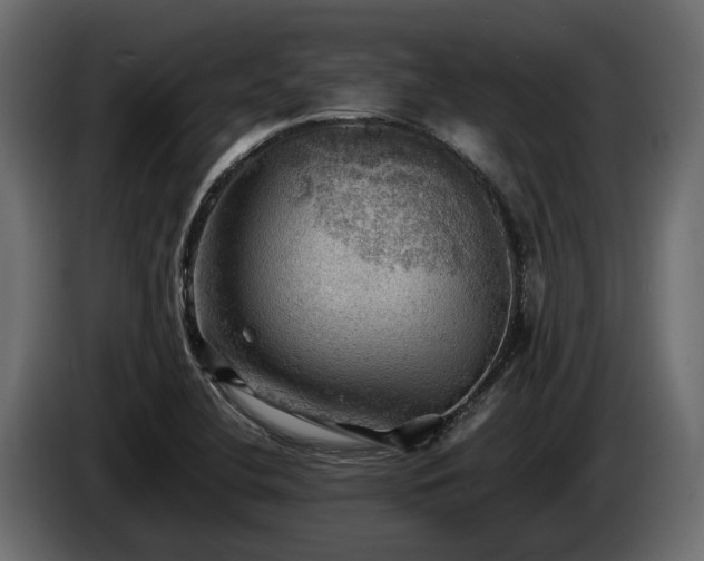 X0000085741412200703231100