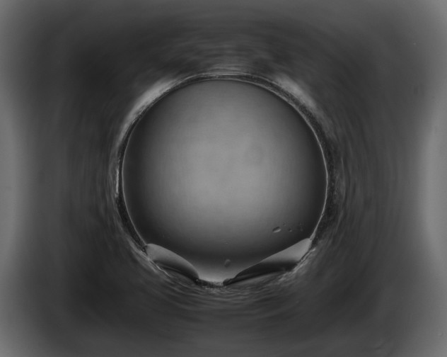X0000085741413200703231100