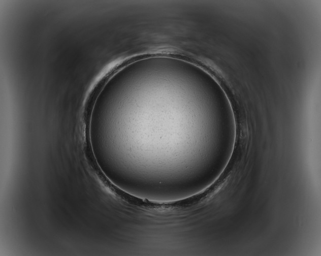 X0000085741414200703231100