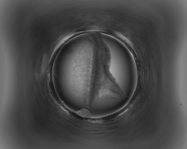 X0000085741415200703231100