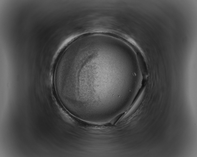 X0000085741416200703231100