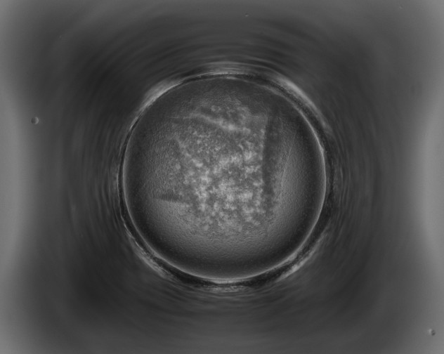 X0000085741417200703231100