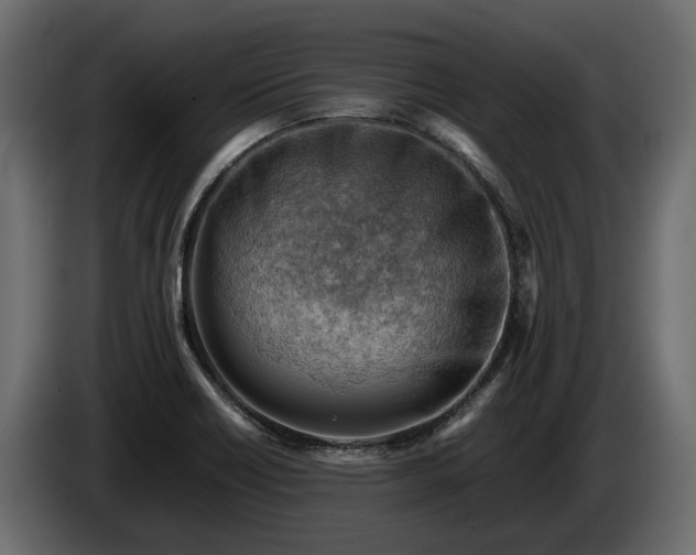 X0000085741418200703231100