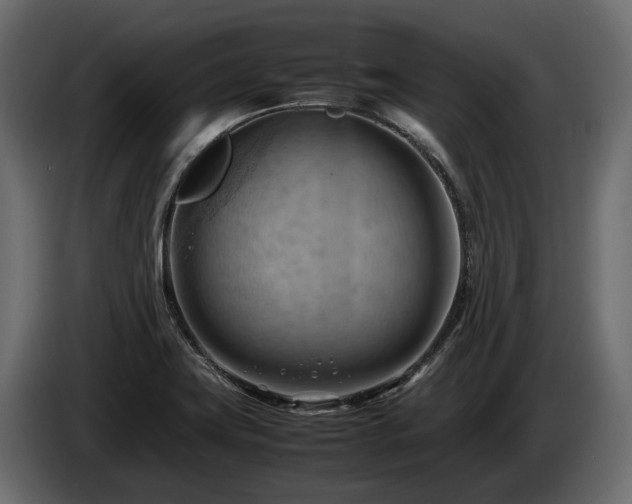 X0000085741419200703231100