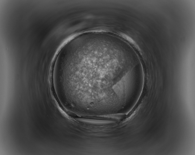 X0000085741421200703231100