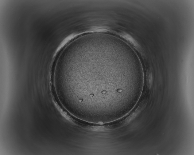 X0000085741422200703231100