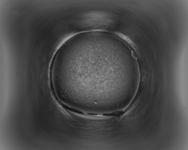 X0000085741423200703231100