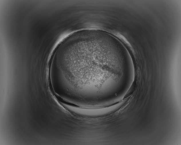 X0000085741424200703231100