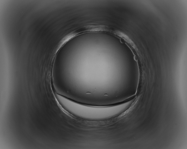 X0000085741425200703231100