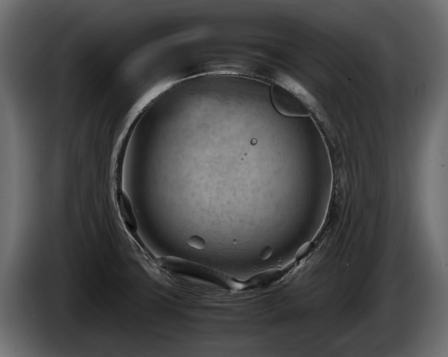 X0000085741427200703231100