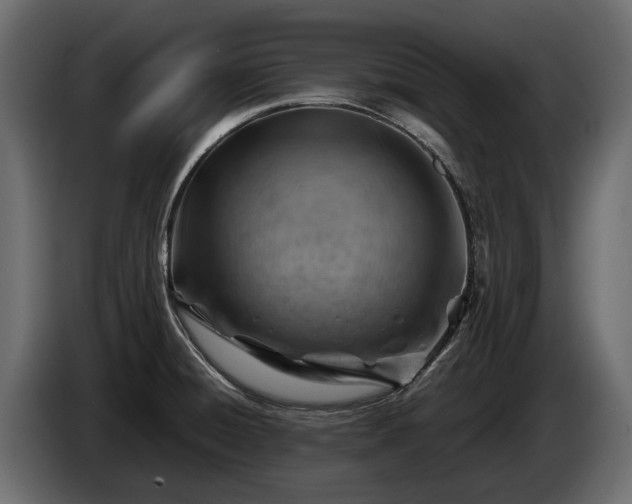 X0000085741428200703231100