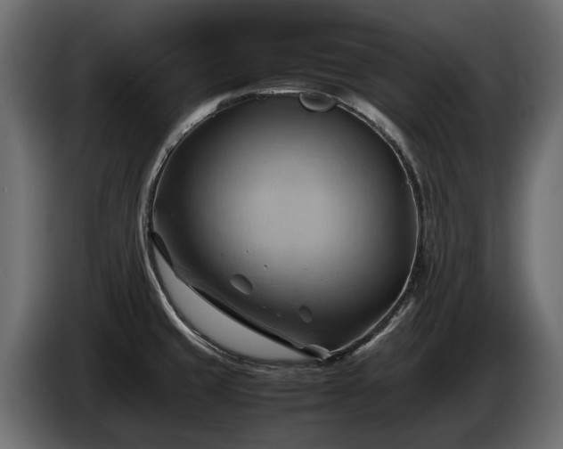 X0000085741429200703231100