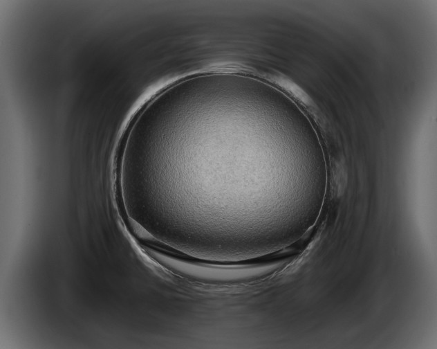X0000085741430200703231100