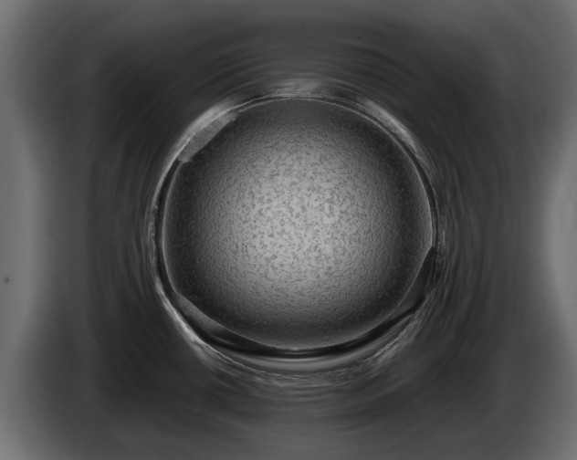 X0000085741434200703231100