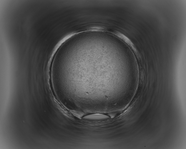 X0000085741435200703231100