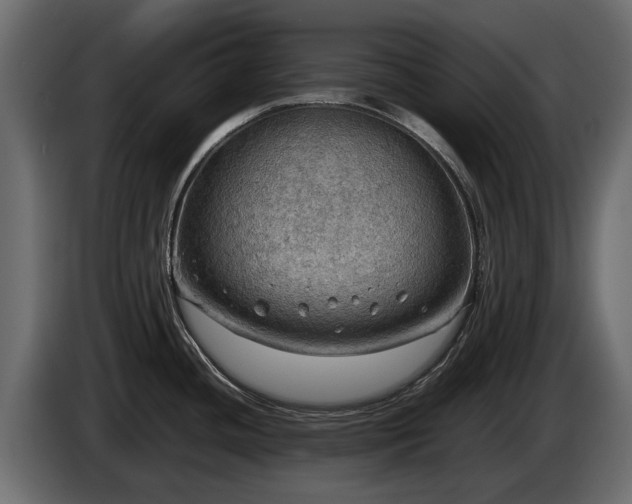 X0000085741436200703231100