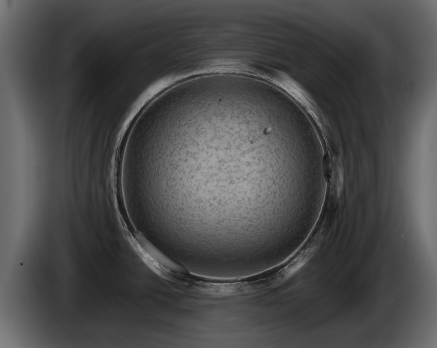 X0000085741438200703231100