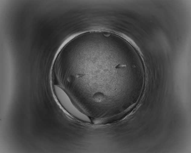 X0000085741440200703231100