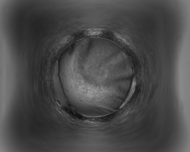X0000085741441200703231100