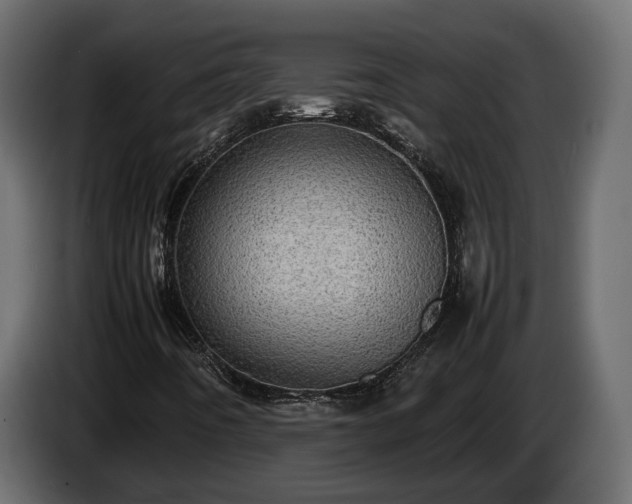 X0000085741442200703231100