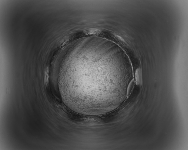 X0000085741443200703231100