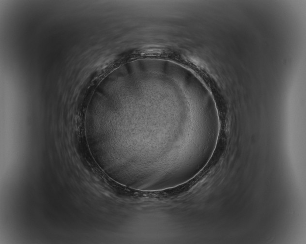 X0000085741445200703231100