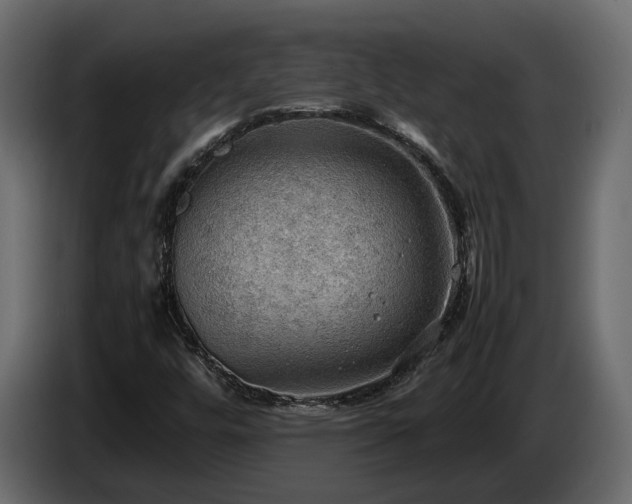 X0000085741448200703231100