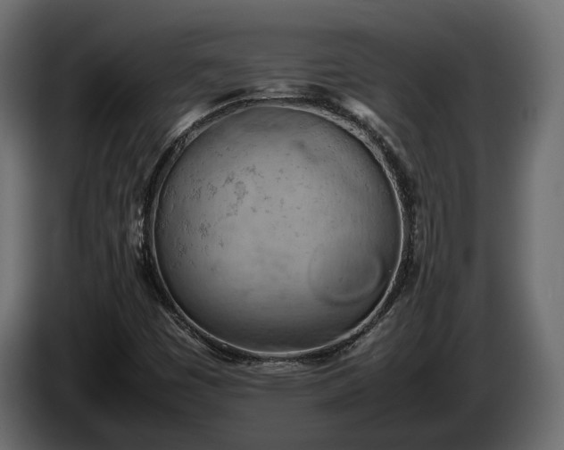 X0000085741449200703231100