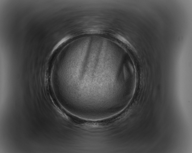 X0000085741450200703231100