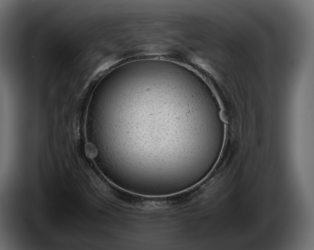 X0000085741451200703231100